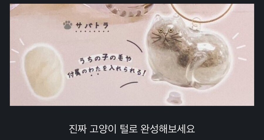 일본에서 출시한 고양이 굿즈.jpg_2.jpg