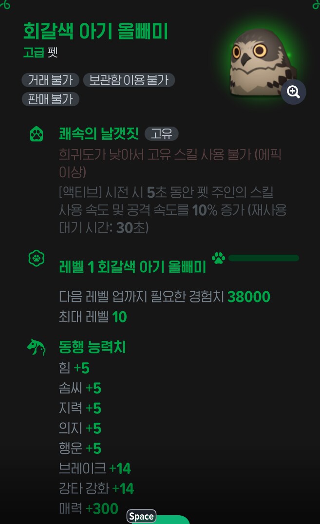 마비m)신규 펫 올빼미 성능 정보_4.png
