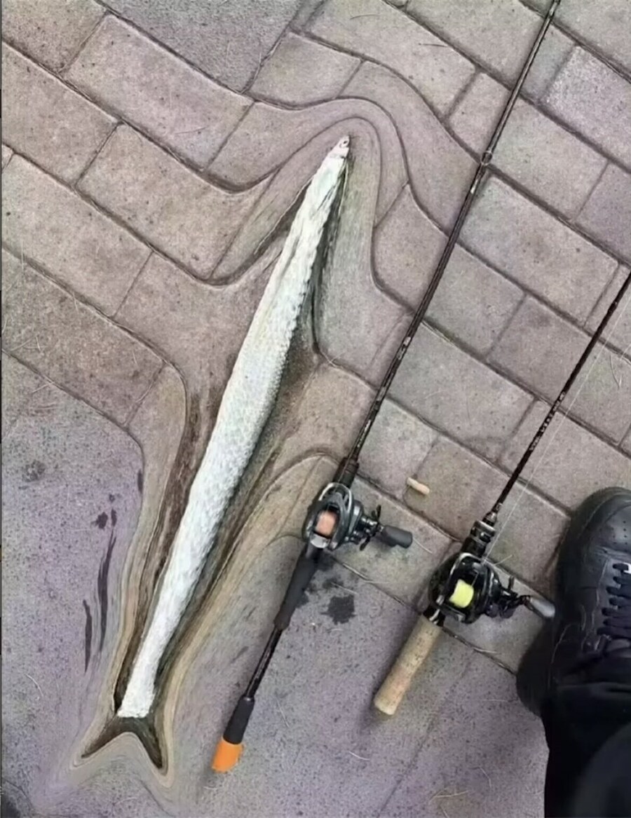 님들아 저 ㅈㄴ 큰 물고기 잡았습니다_2.jpg