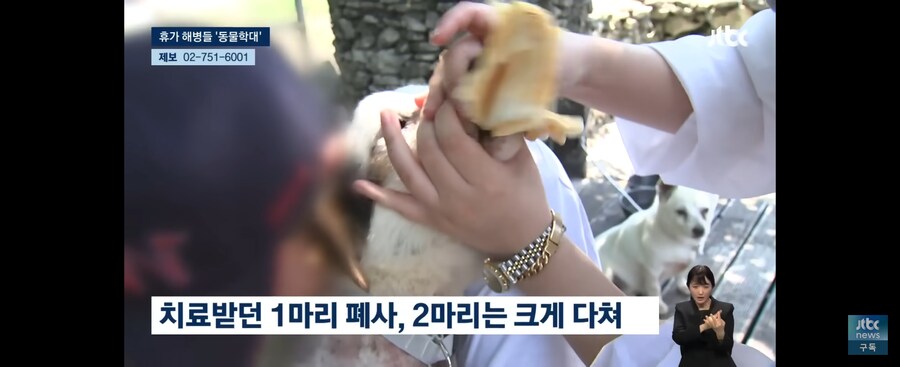 휴가나온 해병 묶인 개들에게 한시간 동안 비비탄 총 쐈다_4.jpg
