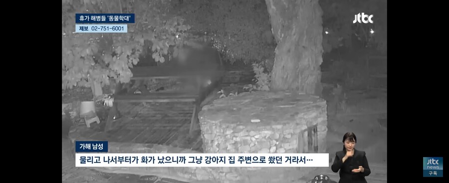 휴가나온 해병 묶인 개들에게 한시간 동안 비비탄 총 쐈다_8.jpg