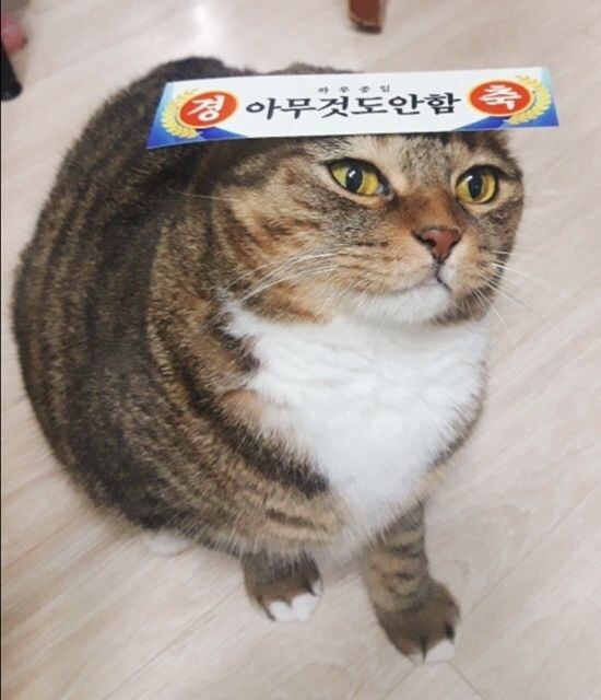 마비m) 흠.. 이번 세공 버그에서 승리자는 난가?_1.jpg