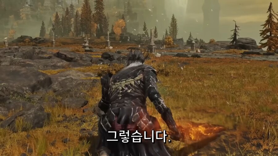 어느 엘든링 빛바랜자의 컨셉플레이_8.png