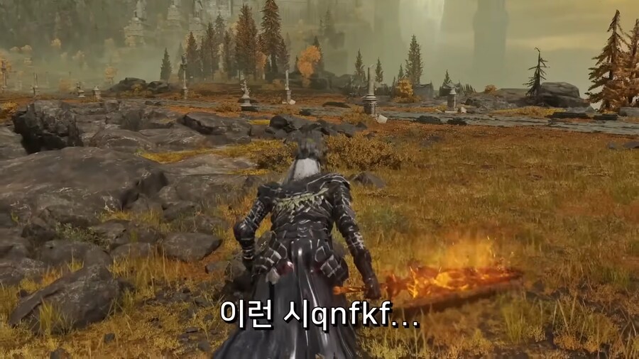 어느 엘든링 빛바랜자의 컨셉플레이_11.png