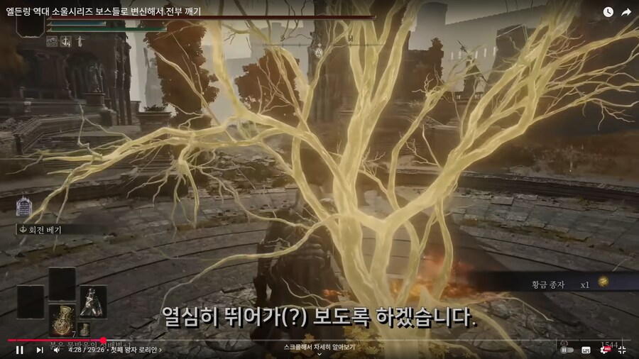 어느 엘든링 빛바랜자의 컨셉플레이_13.png