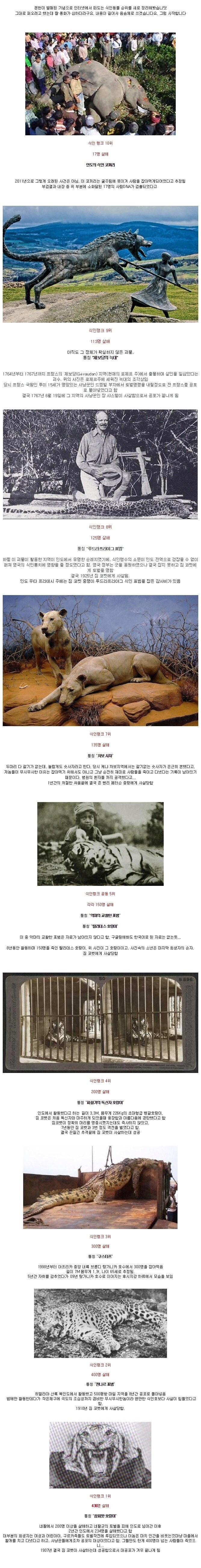사람을 가장 많이 죽인 맹수들 순위.jpg_1.png