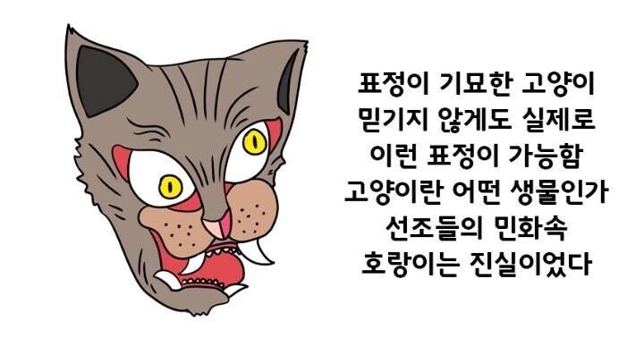 고양이의 4대 유형.jpg_5.jpg