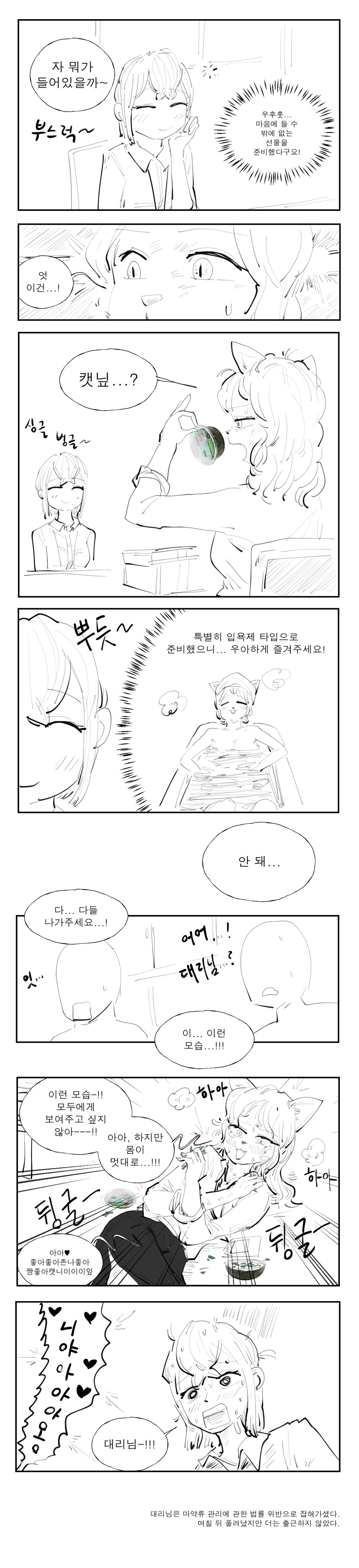 캣닢 선물하는 만화_2.png