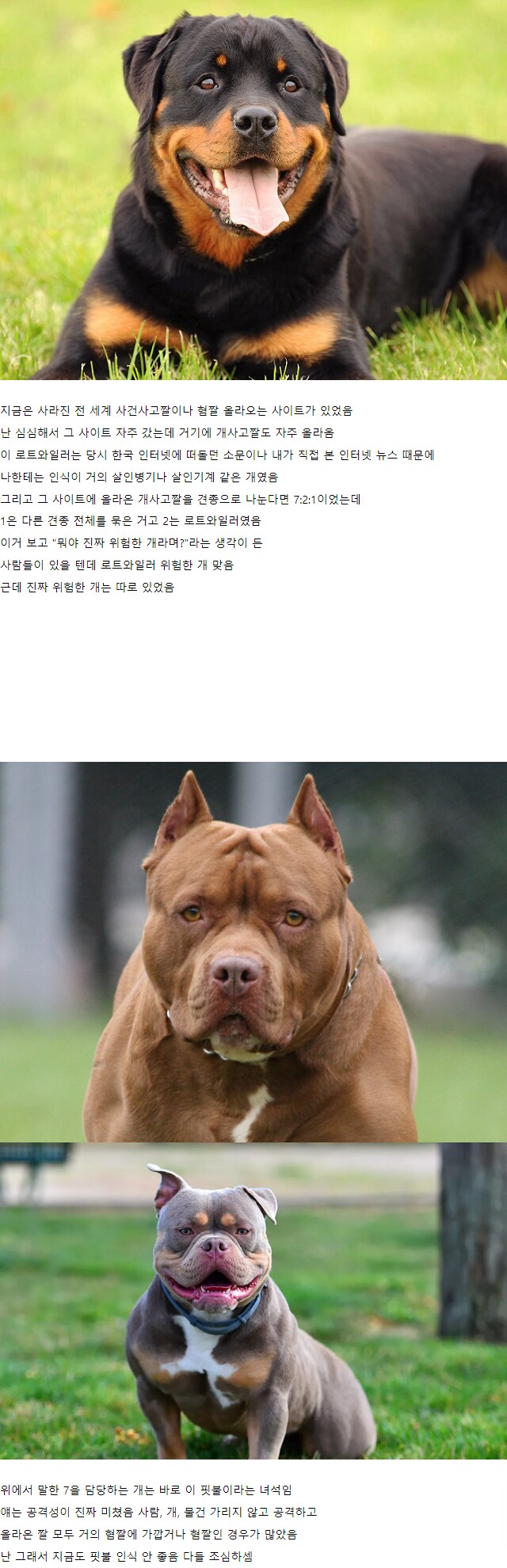 사람에게 위험한 걸로 유명한 개_1.png