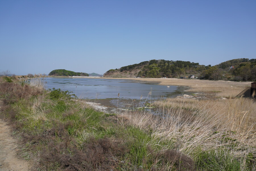 4월, 신도 및 시도 탐조_24.jpg