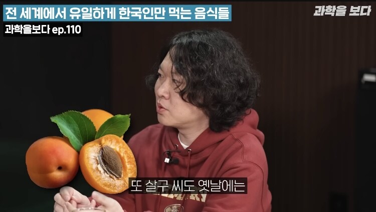 청산가리 물질이 있는 과일 씨_2.jpg