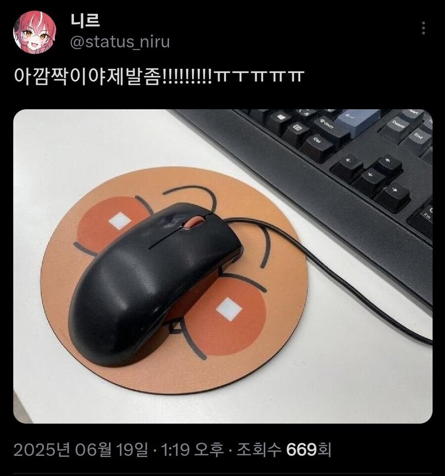 집에서 대왕 바퀴벌레가 나온 버튜버_1.jpg