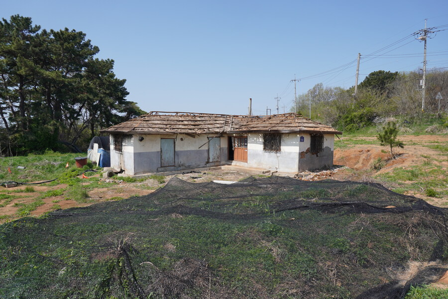 4월, 신도 및 시도 탐조_47.jpg