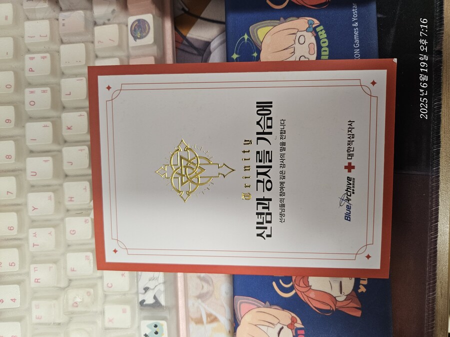 블루아카)피로 쓰여진 굿즈가 왔다_4.jpg