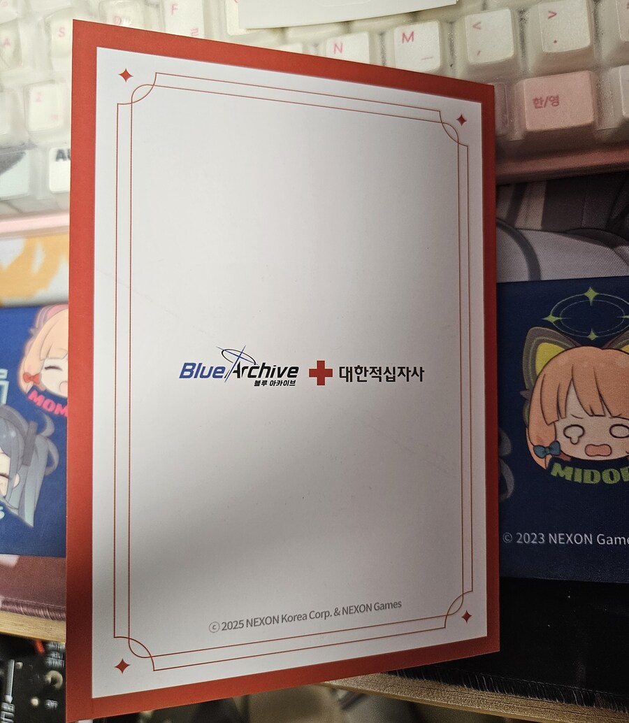 블루아카)피로 쓰여진 굿즈가 왔다_6.jpg