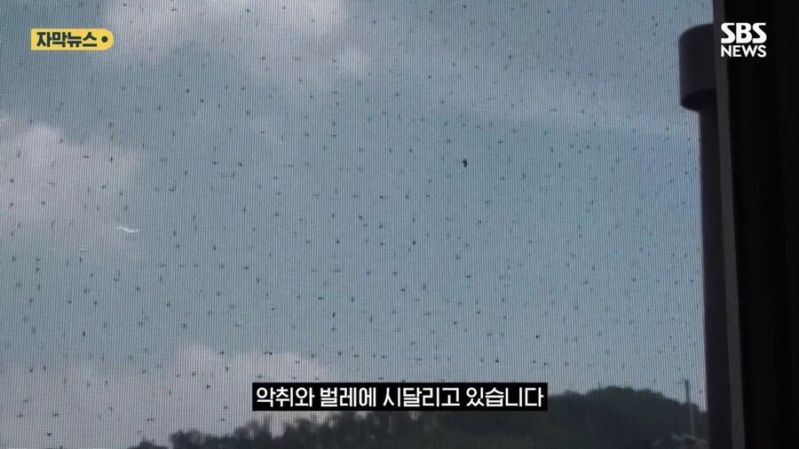 8년동안 공용 주차장에 고물 쌓아놓은 사람_15.jpg