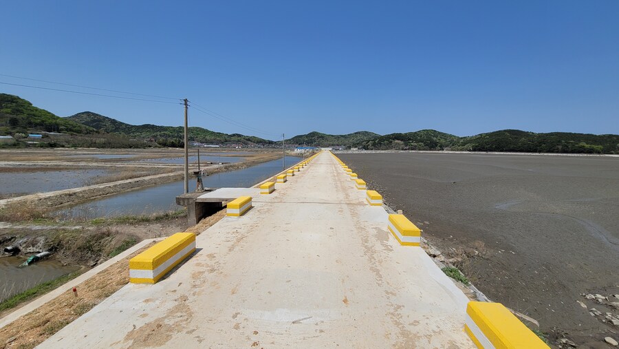 4월, 신도 및 시도 탐조_69.jpg