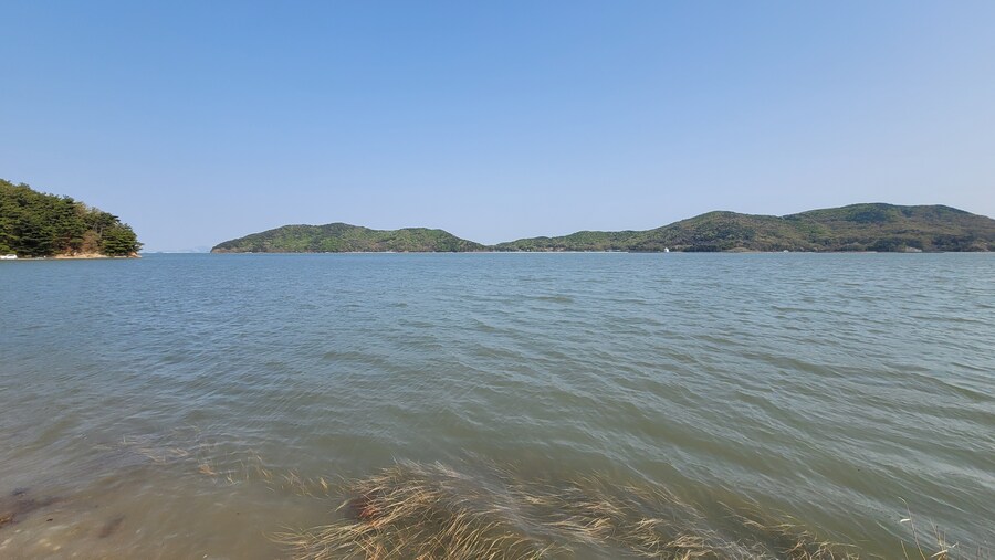 4월, 신도 및 시도 탐조_85.jpg