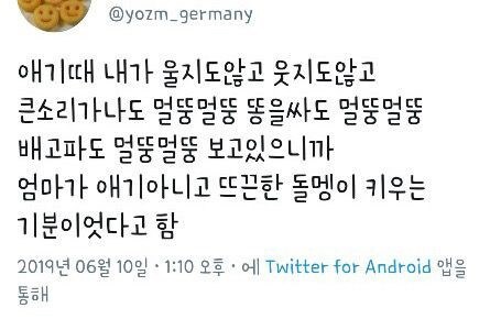 반려돌맹이.jpg_1.jpg