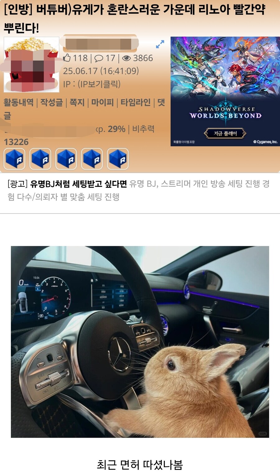 버튜버)도와줘요 루리웹의 리노아-상 괴롭힘 시도_1.jpg