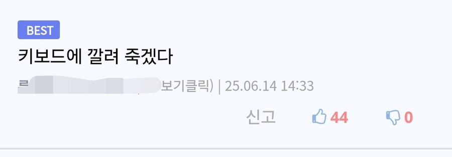 버튜버)도와줘요 루리웹의 리노아-상 괴롭힘 시도_3.jpg