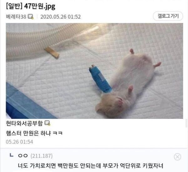 ???: "새거 사지?"_1.jpg