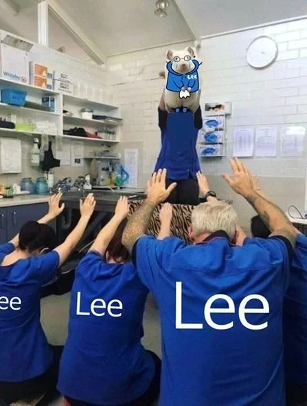 개딸들이 짬통위해 만든짤들(혐주의)_3.webp