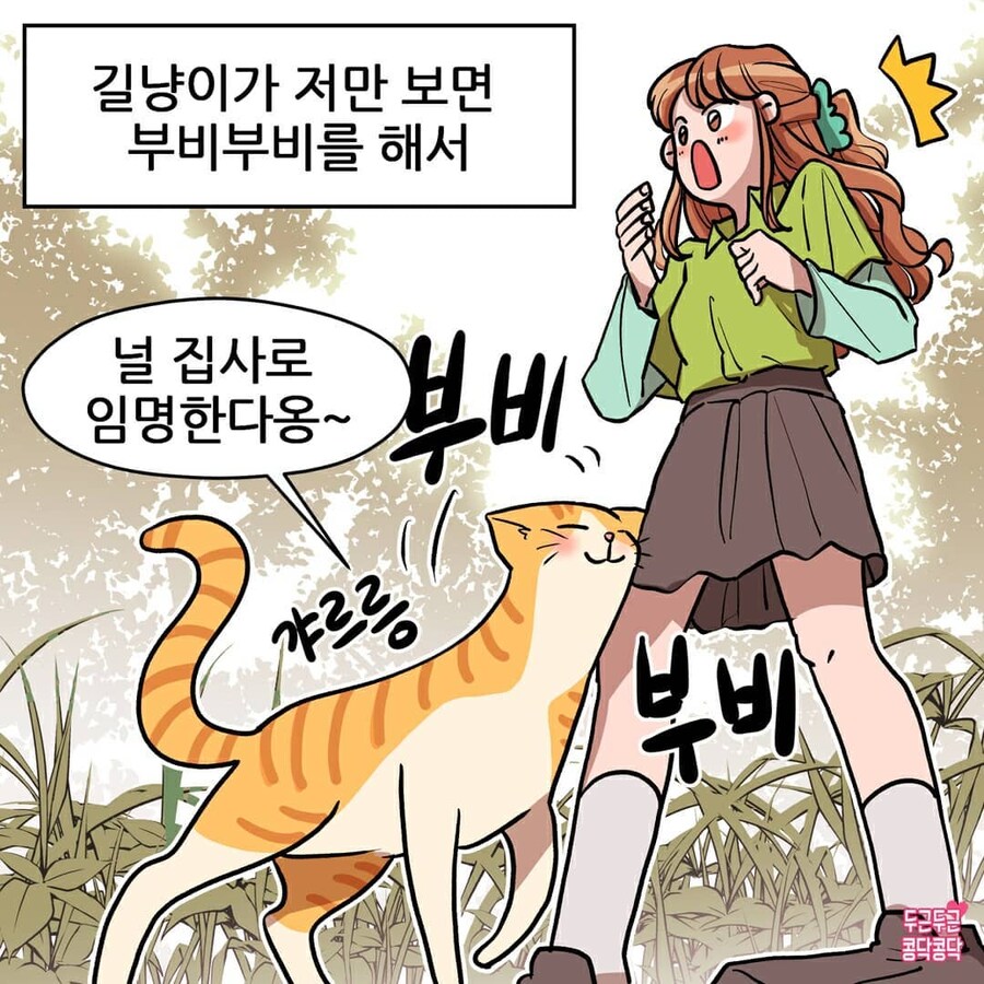 여친이 길냥이 주워서 키우는만화_1.jpg