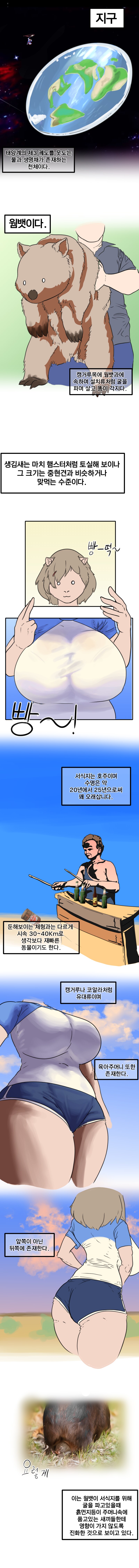 (재업,후방)웜뱃 생태 보고 망가_1.png