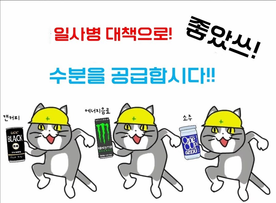 일사병,열사병으로 핫한 유게에 올리는 현장냥이 짤_1.jpg