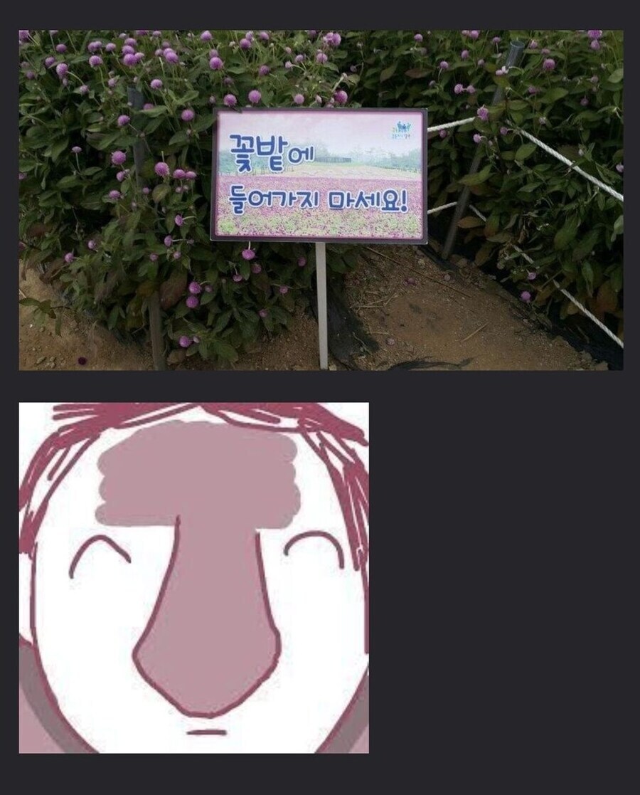 블루아카) 꽃밭에 들어가는 공주님들_2.jpg