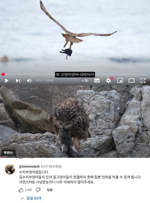 요즘 수리부엉이가 먹이로 삼은 동물_1.jpg