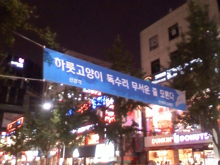 야 솔까말 ㅇㅅㄷ에 뭔 죄가 있다고 자꾸 베스트 보내냐?_1.jpg