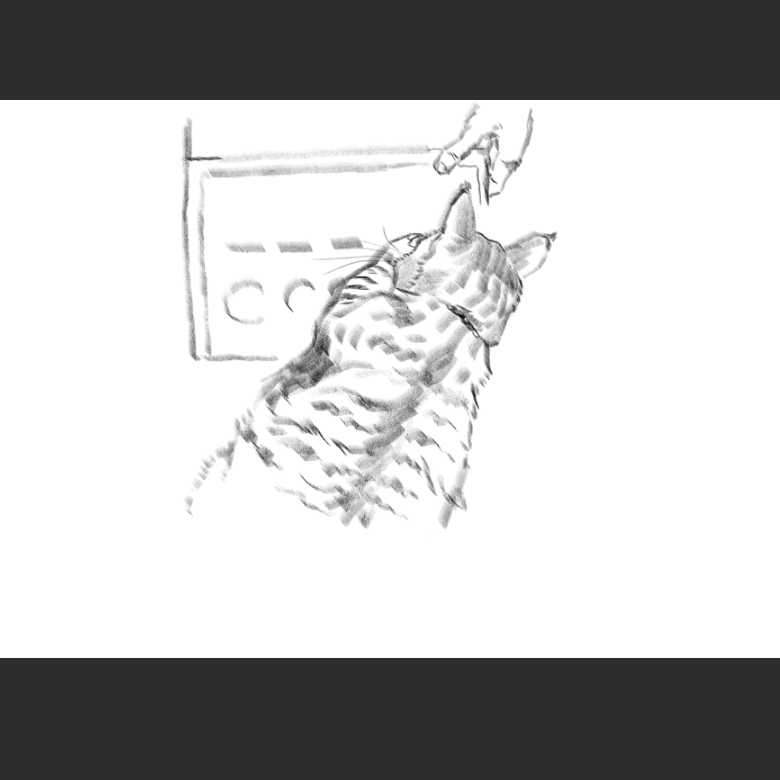 고양이) 우리집 고양이그림 보고가셈_2.png