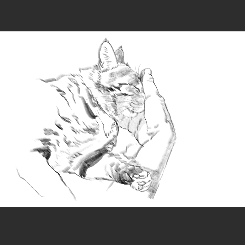 고양이) 우리집 고양이그림 보고가셈_6.png