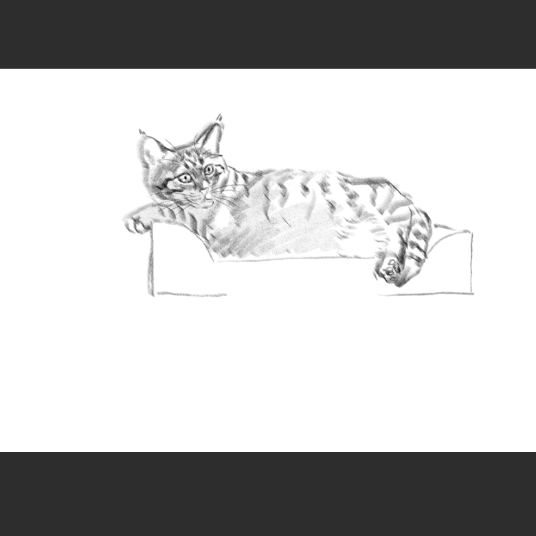 고양이) 우리집 고양이그림 보고가셈_9.png