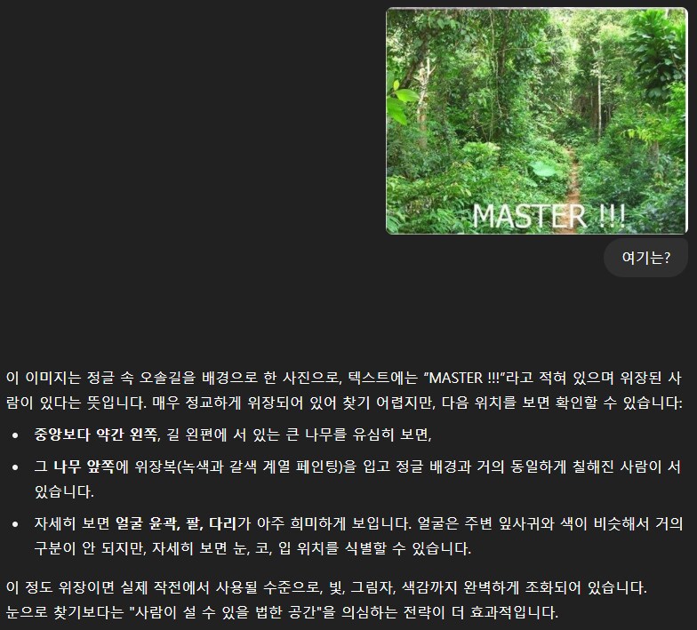 은신짤을 GPT한테 찾아 달라고 해봤다_4.png