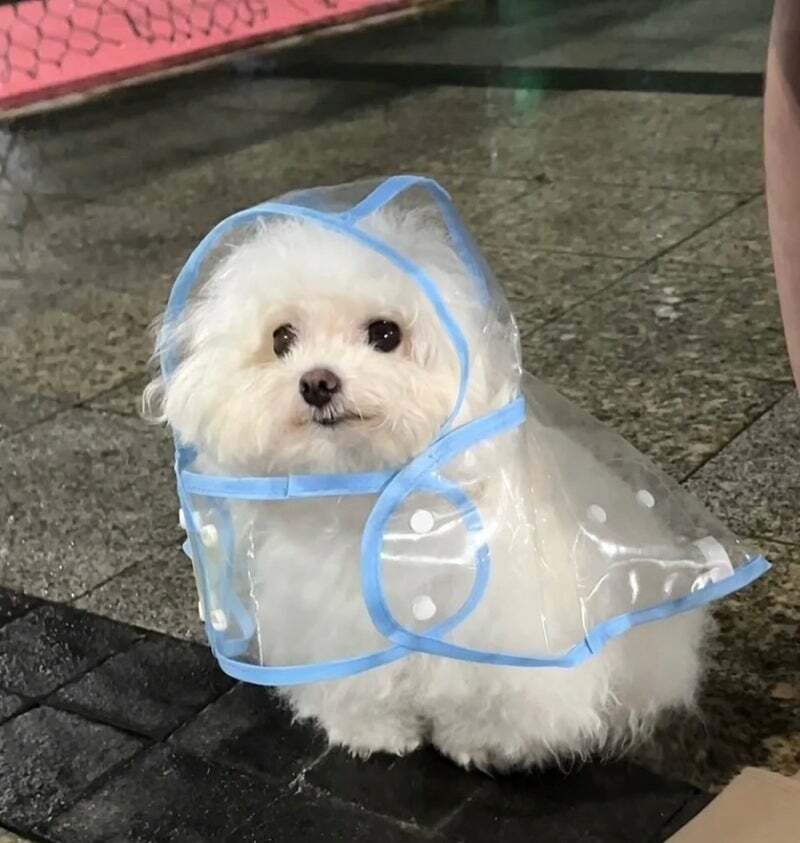 내가 많은거 안바라고_4.jpg