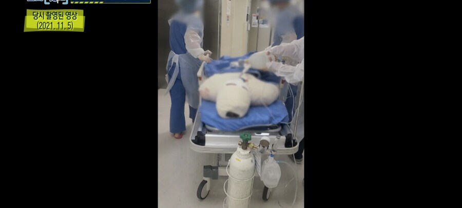 한전 하청에서 사람 죽은 일이 하루이틀이 아닌데_12.png