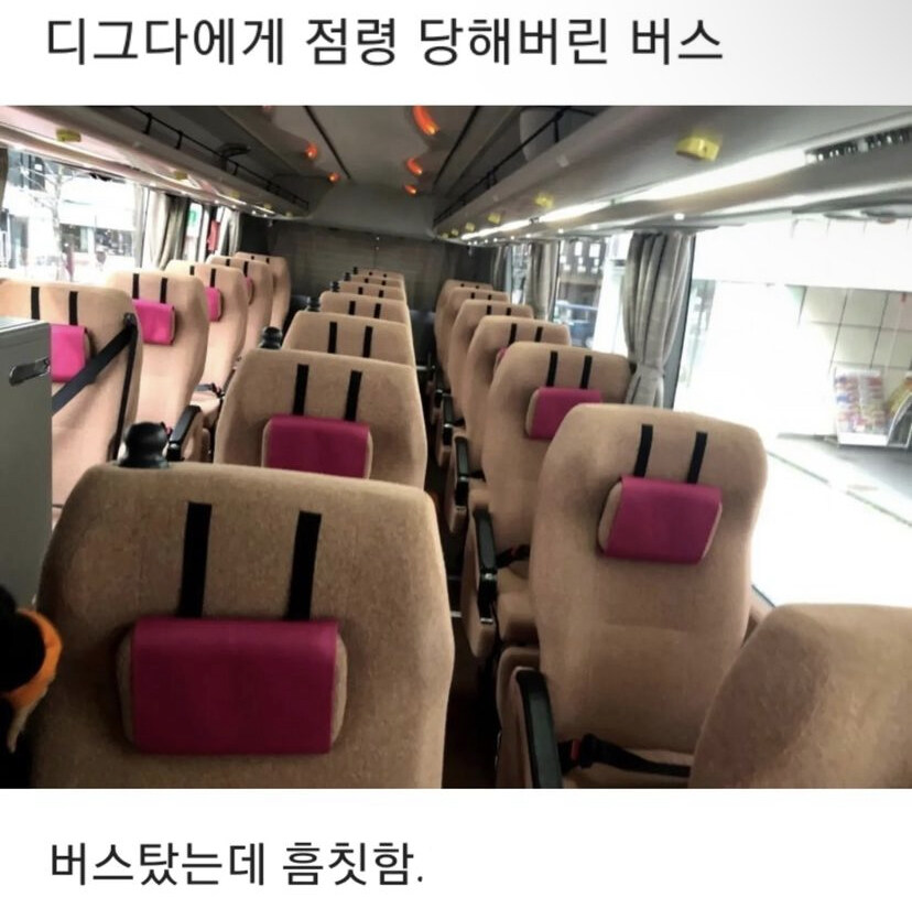 디그다에게 점령 당해버린 버스.jpg_1.jpg