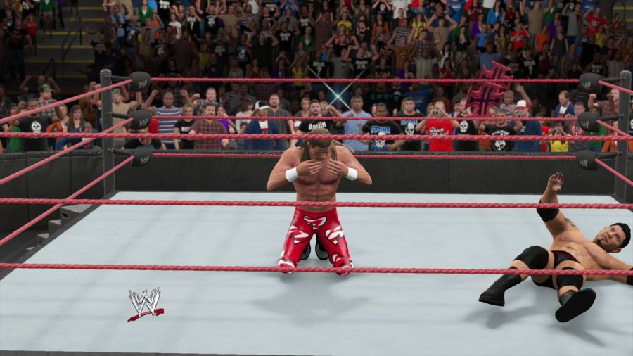 WWE 2K15_17.jpg