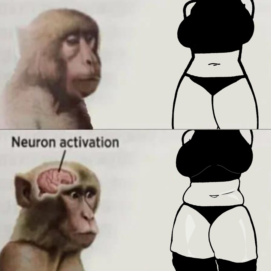 원숭이 뉴런 밈 해봄_1.png