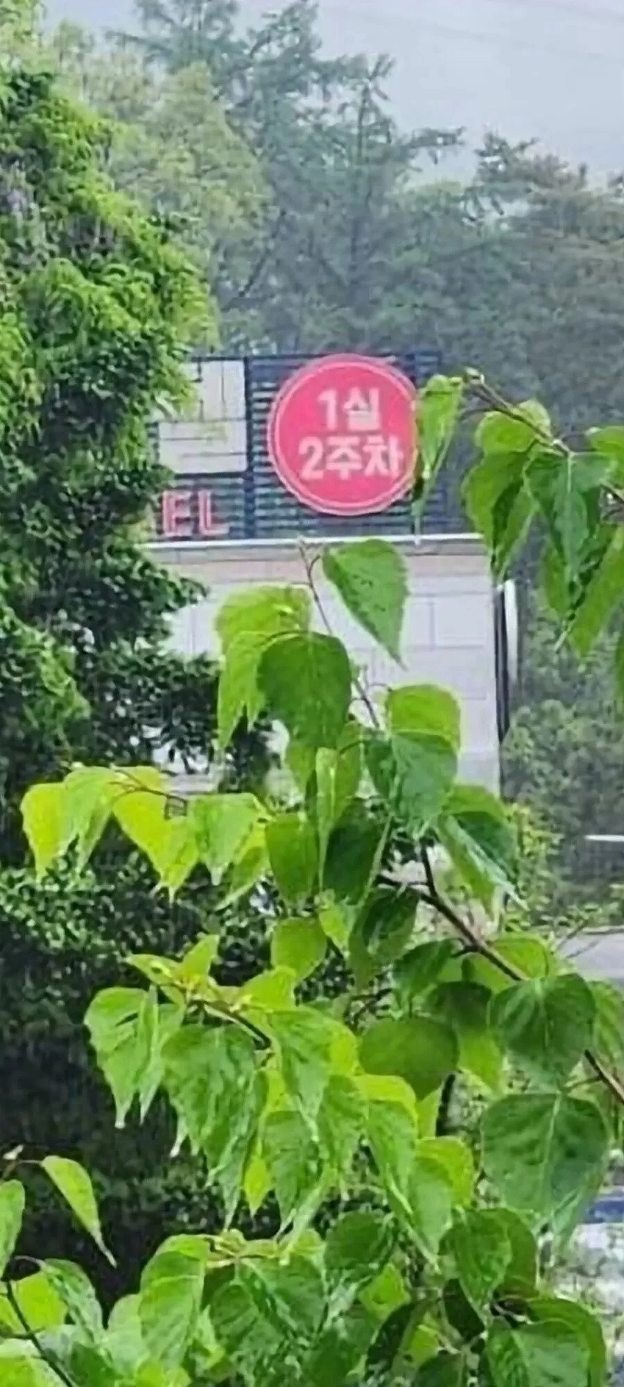 불륜 최적화_1.webp