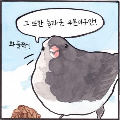 케이팝) 외국애들 해석도 재밌는 게 많네_3.png