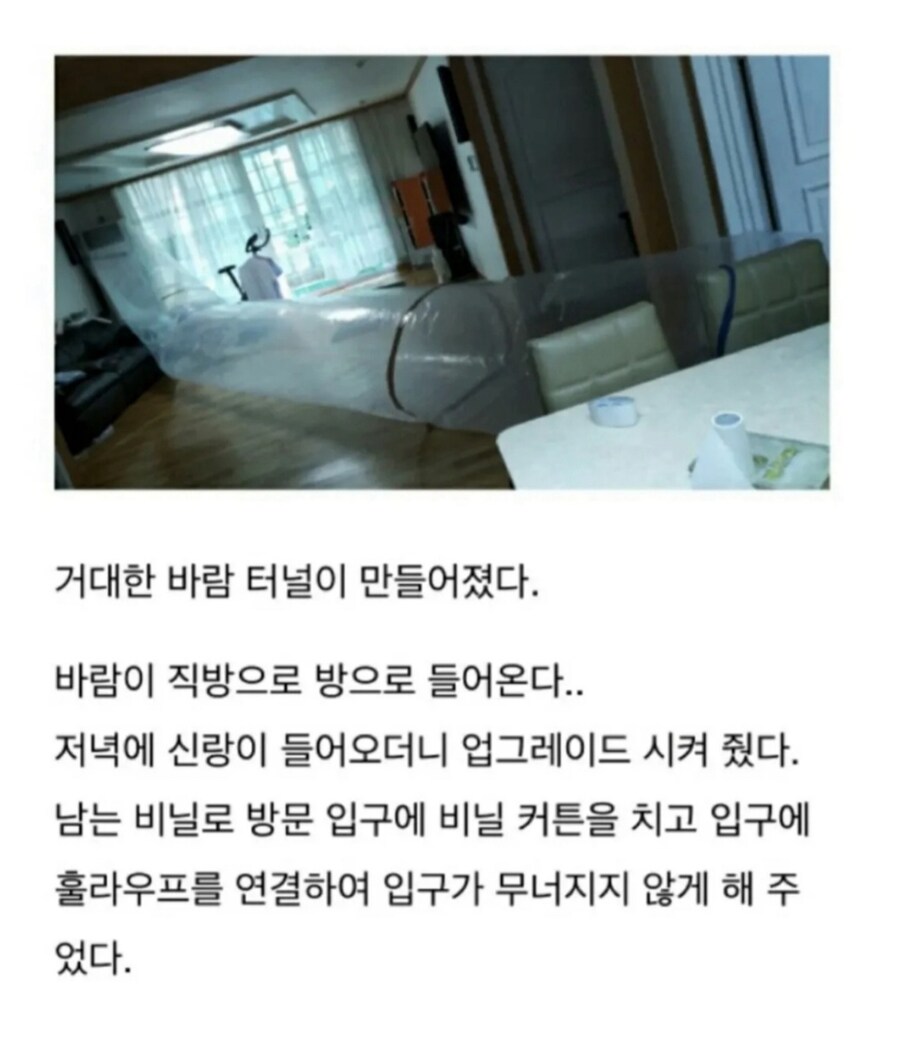 여름마다 보는 사진인데 신박하다_1.jpg