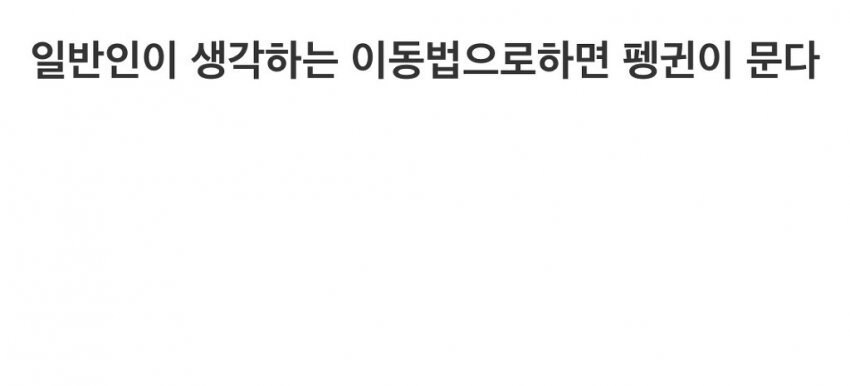 펭귄을 이동시키는 방법.jpg_2.jpg