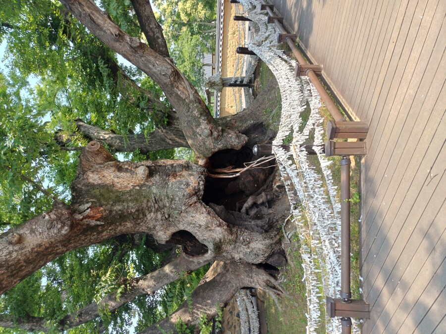 안동 여행 후기_7.jpg