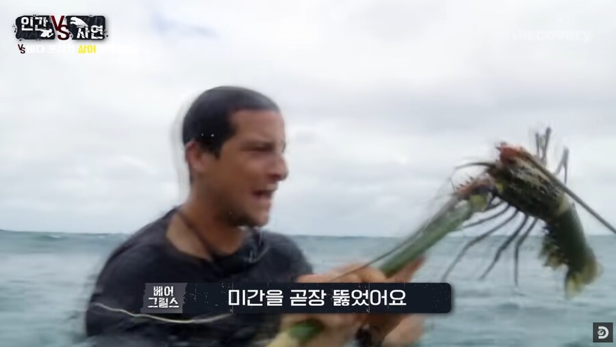 바다가재를 사냥한 베어 그릴스_1.png