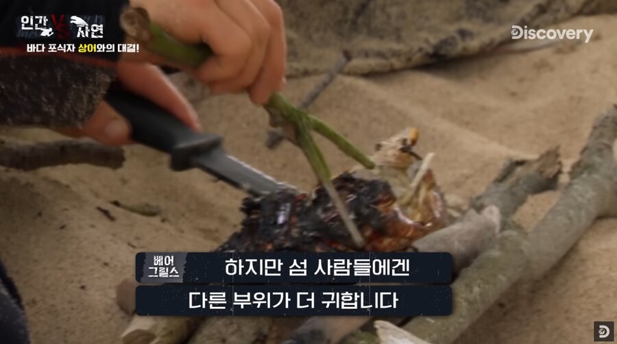 바다가재를 사냥한 베어 그릴스_3.png