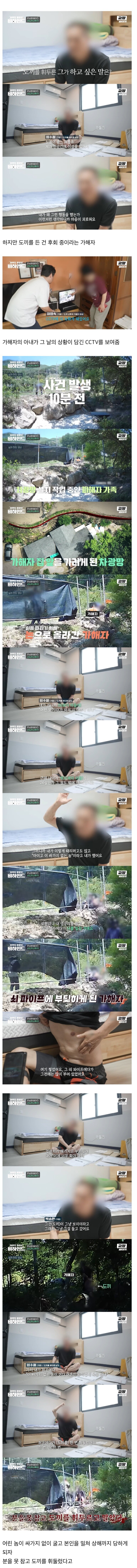 어느 작은 시골 마을에서 일어난 손도끼 난투극의 전말_2.jpg